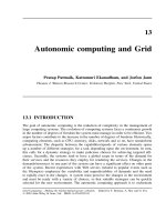 Tài liệu Grid Computing P13 ppt
