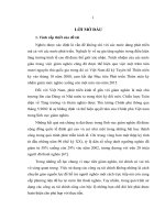 Sử dụng một số công cụ tài chính nhằm thực hiện mục tiêu giảm nghèo ở các tỉnh tây nguyên 