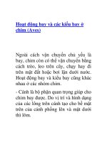 Tài liệu Hoạt động bay và các kiểu bay ở chim (Aves) pptx