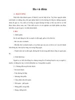 Tài liệu Giáo trình Ho và đờm doc