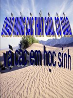 Bài soạn HH NC 11: Tiết 19