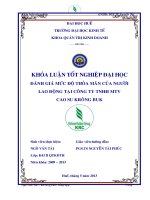 Đánh giá mức độ thỏa mãn của người lao động tại công ty TNHH MTV cao su krông buk 