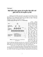 Tài liệu Chương 6: Đột biến đơn gene di truyền liên kết với giới tính & di truyền ty thể docx