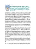 Tài liệu Cẩn thận với E-Banking! pdf