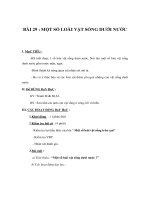 Tài liệu TNXH lớp 1 - BÀI 29 : MỘT SỐ LOÀI VẬT SỐNG DƯỚI NƯỚC doc
