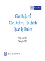 Tài liệu Giới thiệu về các dịch vụ quản lý rủi ro pdf