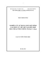 Nghiên cứu sử dụng chất kết dính cao phân tử để chế tạo hỗn hợp hoả thuật phát hồng ngoại 3  14um 