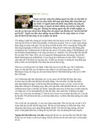 Tài liệu Cuitlauzina pendula-MỘT CÂY LAN LẠ pptx