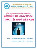 Vốn đầu tư nước ngoài trực tiếp FDI ở việt nam 