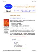 Tài liệu Lesson 3: Control Statements - Selection pptx