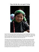 Tài liệu Nhạc khí độc đáo của người Triêng pdf