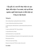 Tài liệu Cấp giấy ký cam kết thực hiện các quy định, điều kiện về an ninh, trật tự để làm ngành ,nghề kinh doanh có điều kiện docx