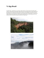 Tài liệu Vẻ đẹp Brazil doc