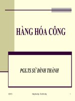 TÀI CHÍNH CÔNG: HÀNG HÓA CÔNG
