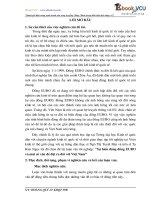 57 chuyen de tot nghiep sự biến động đồng EURO và vấn đề đặt ra 