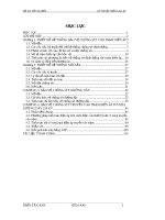 Thiết kế bảo vệ chống sét cho trạm biến áp 220110kv và đường dây 220kv 