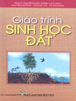 Giáo trình sinh học đất