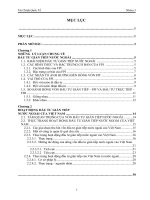 Nghiên cứu hoạt động đầu tư gián tiếp nước ngoài của việt nam 