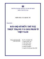 Bảo hộ sở hữu trí tuệ   thực trạng và giải pháp ở việt nam 