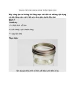 TRANG TRÍ CHO GIÁNG SINH THÊM TRỌN VẸN