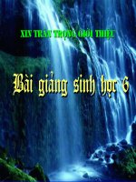 Gián án Tiết 20. Một số thân mềm khác