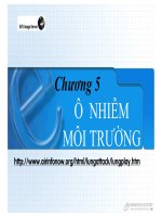 Tài liệu CHƯƠNG 5: Ô NHIỄM MÔI TRƯỜNG docx