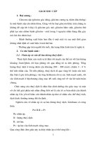 Tài liệu Giáo trình Glocom cấp pptx