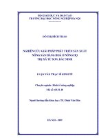 Nghiên cứu giải pháp phát triển sản xuất nông sản hàng hóa ở nông hộ ở thị xã từ sơn tỉnh bắc ninh 