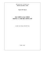 Đặc điểm loại hình trường ca thế hệ chống mỹ 