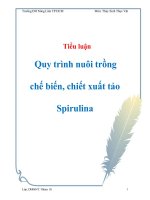 Tài liệu Đề Tài: 