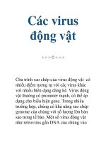 Tài liệu Các virus động vật pptx