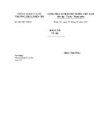 Bài soạn Mẫu báo cáo theo đúng thể thức văn bản