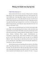 Tài liệu Phòng trừ bệnh lem lép hạt lúa docx