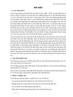 Nhận diện mô hình kinh tế việt nam 