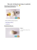 Tài liệu Phá cách với khuyên tai trứng và sandwich pdf