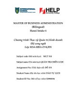 Phân tích, đánh giá chiến lược kinh doanh của công ty dịch vụ viễn thông vinaphone 