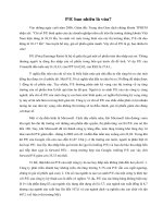 Tài liệu P/E bao nhiêu là vừa? docx