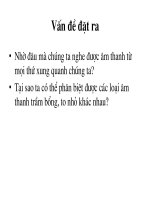 Bài giảng Bài 51: CƠQUAN PHÂN TÍCH THỊ GIÁC