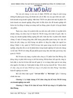 Hoàn thiện tổ chức công tác kế toán TSCĐ tại công ty cổ phần sơn hải phòng 