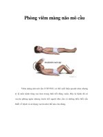 Tài liệu Phòng viêm màng não mô cầu doc