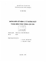 những biến đổi bệnh lý ở đường ruột trong bệnh phân trắng ở lợn con 