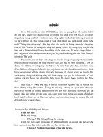 Khảo sát ảnh hưởng của suy hao lên quá trình lan truyền soliton trong sợi quang 