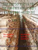 Slide TÌNH HÌNH sản XUẤT và TIÊU THỤ nấm ở HTX NÔNG NGHIỆP i – xã PHÚ LƯƠNG – HUYỆN PHÚ VANG – TỈNH TT HUẾ  