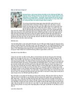 Đầu tư thế nào là hợp lý