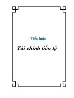 Tài liệu Tiểu luận Tài chính tiền tệ docx