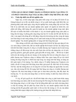 382 hoàn thiện mạng lưới bán hàng của công ty cổ phần viglacera tại thị trường hà nội 