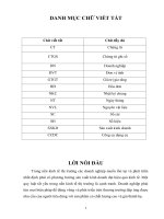 BÁO CÁO THỰC TẬP:Tổ chức công tác kế toán nguyên vật liệu và công cụ dụng cụ tại Doanh Nghiệp T N THANH PHONG