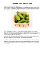 Tài liệu Chữa nhiệt miệng bằng dưa chuột docx