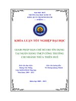Giải pháp hạn chế rủi ro tín dụng tại ngân hàng thương mại cổ phần công thương việt nam  chi nhánh thừa thiên huế 