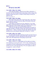 Gián án DE DU BI 02 (2002)